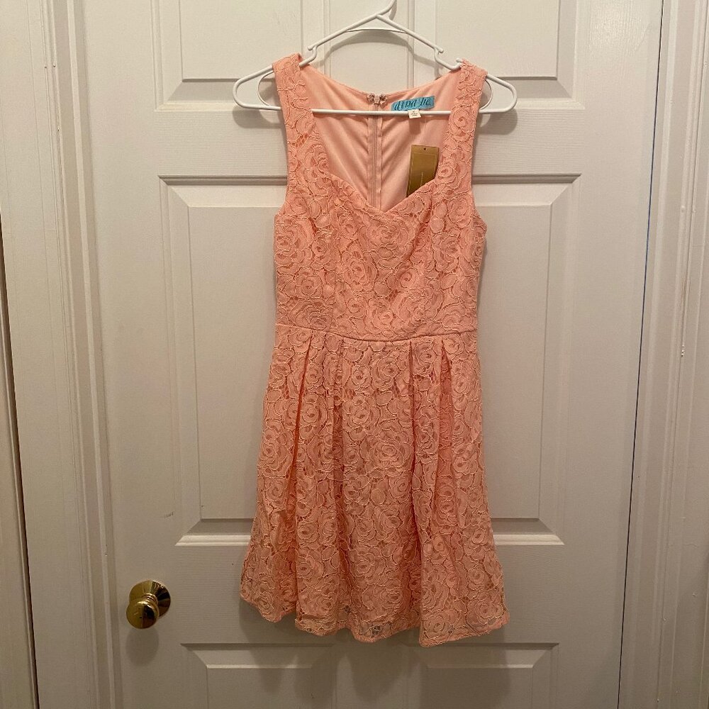 NWT Dina Be Women's Lined A Frame Lace Light Pink Sleeveless Dress Small